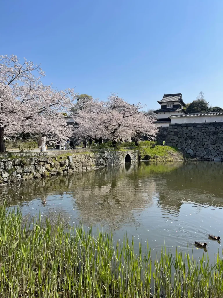 Maizuru Park, Fukuoka, Japan - April 2025