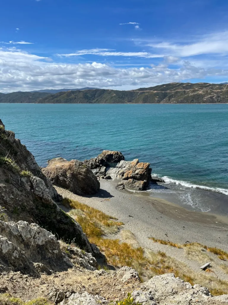 Breaker Bay, Wellington, New Zealand - March 2024