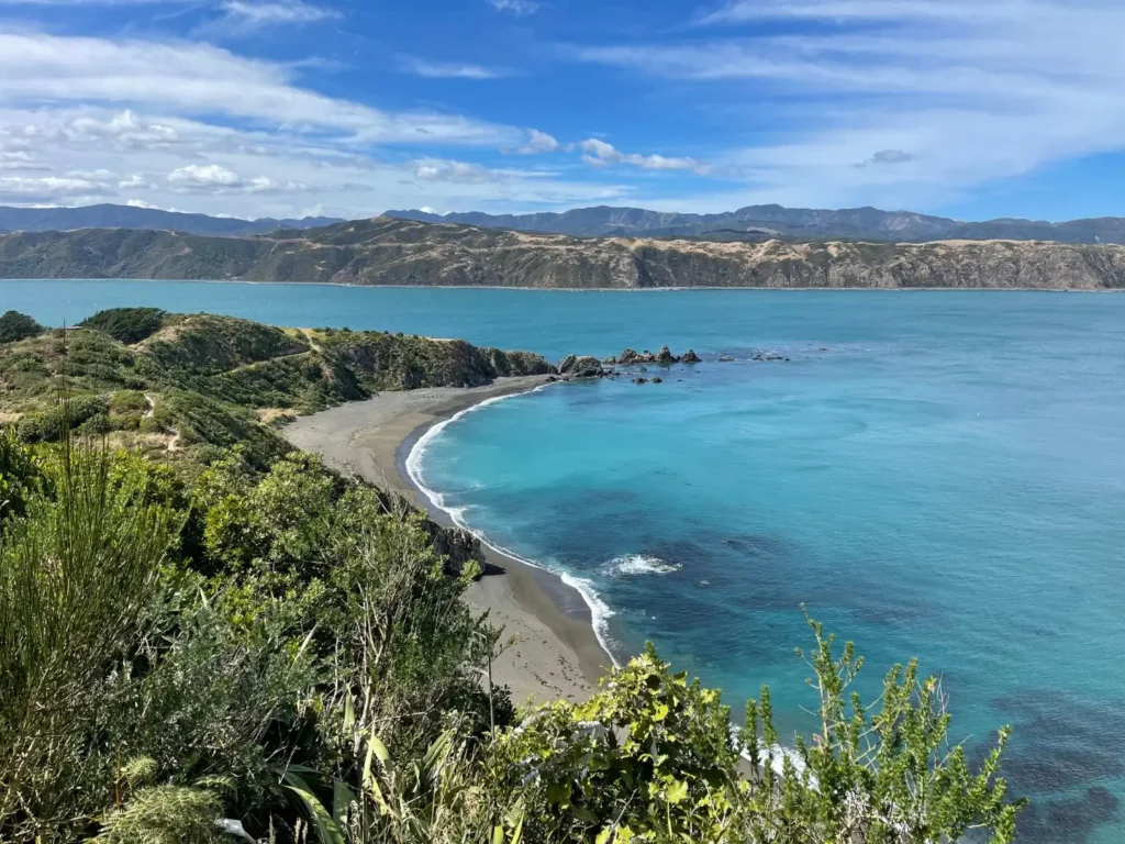 Bakers Bay, Wellington, New Zealand - March 2024