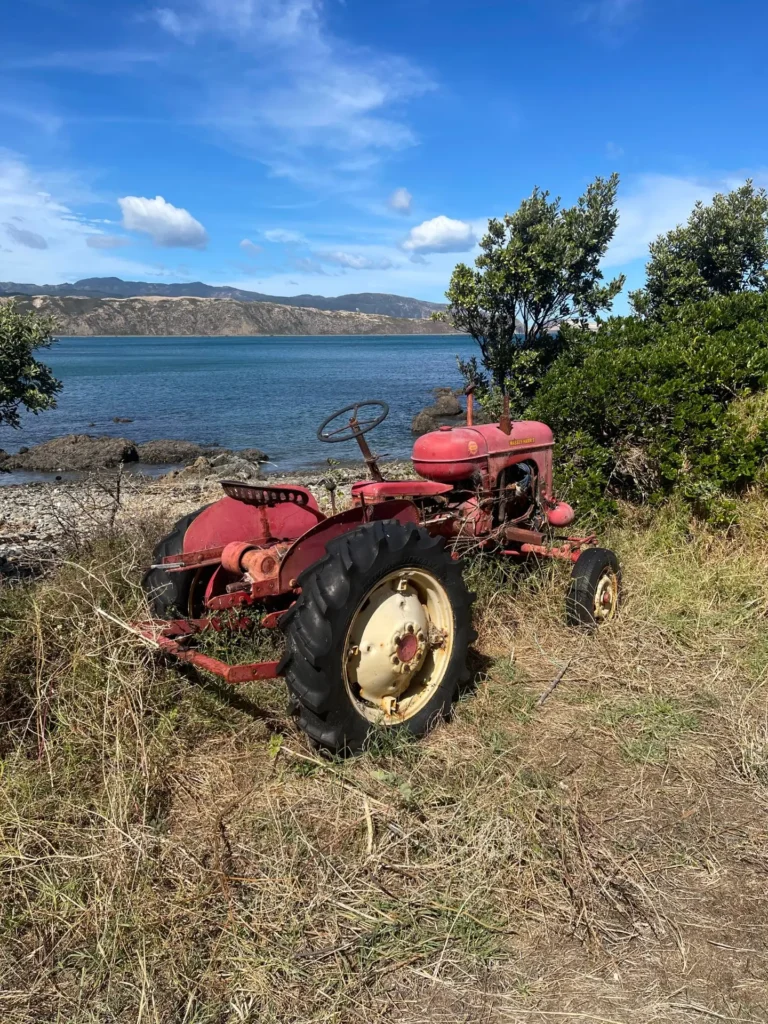 Eastern Walkway, Wellington, New Zealand - March 2024