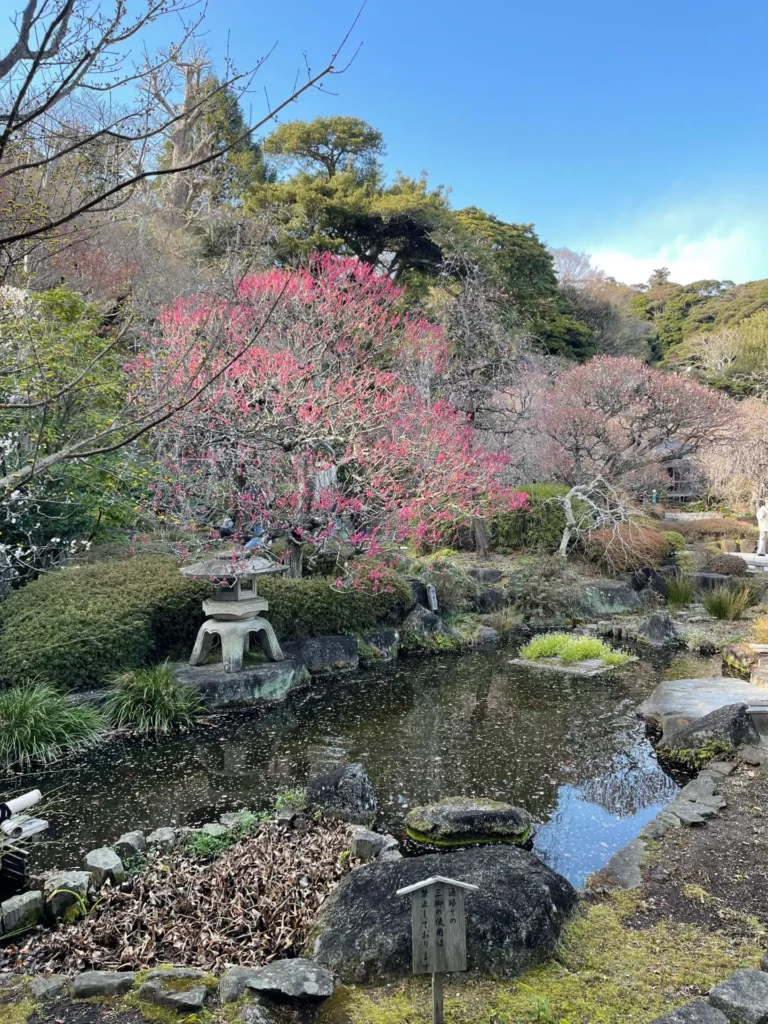 Hasedera Temple, Kamakura, Japan - March 2025
