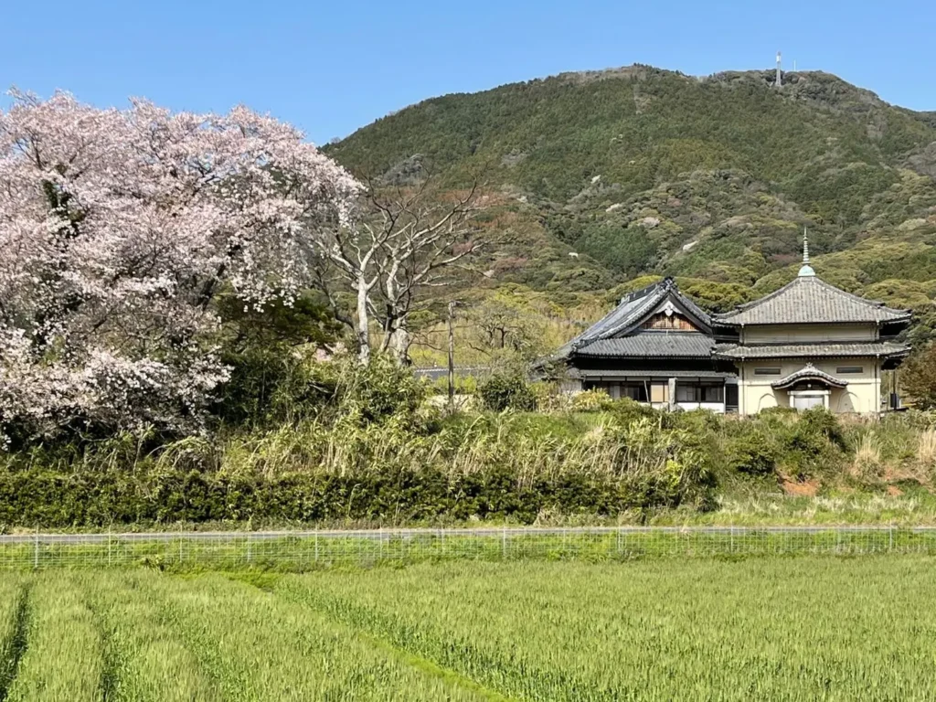 Itoshima, Itoshima, Japan - April 2025