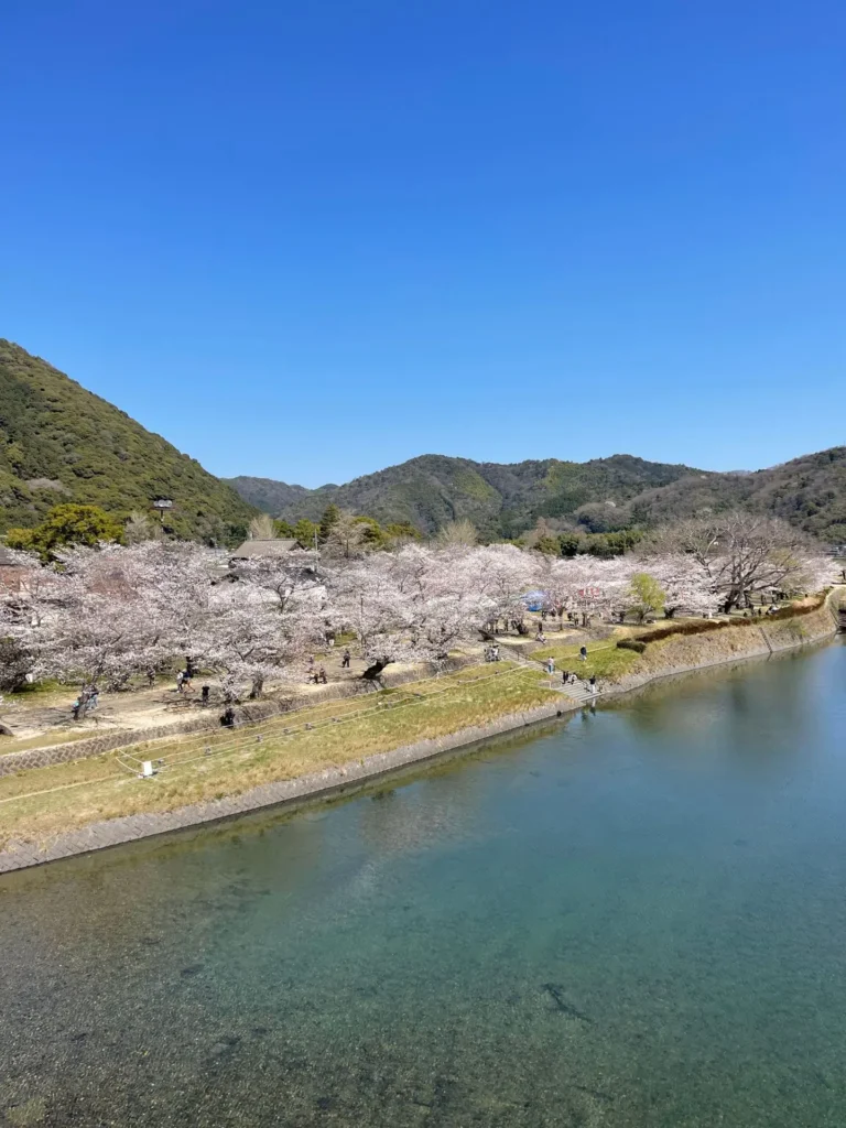 Nishiki River, Iwakuni, Japan - March 2025