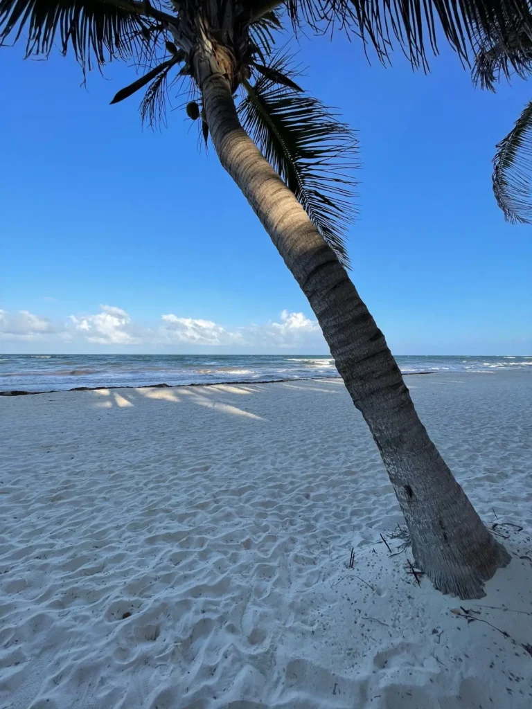 Beach, Tulum, Mexico - May 2025