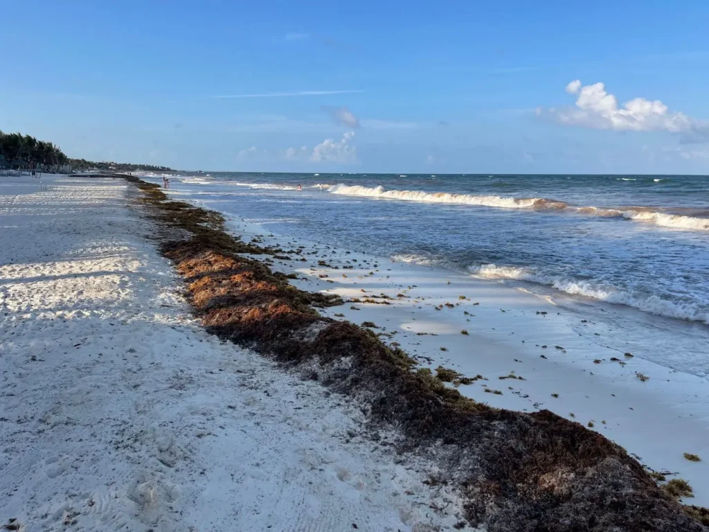 Beach, Tulum, Mexico - May 2025