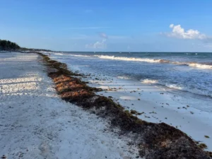 Beach, Tulum, Mexico - May 2025
