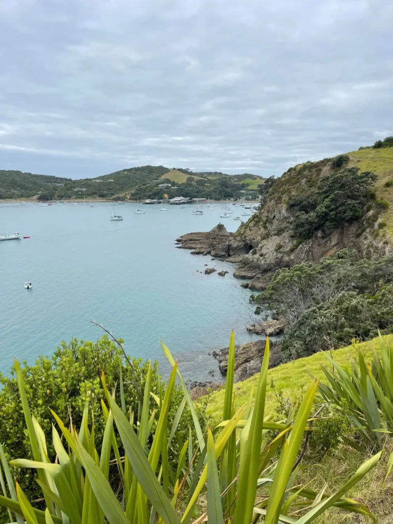 Waiheke Island, Auckland, New Zealand - March 2024