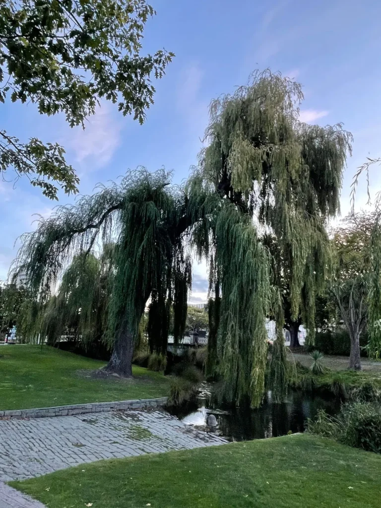 Victoria Square, Christchurch, New Zealand - March 2024