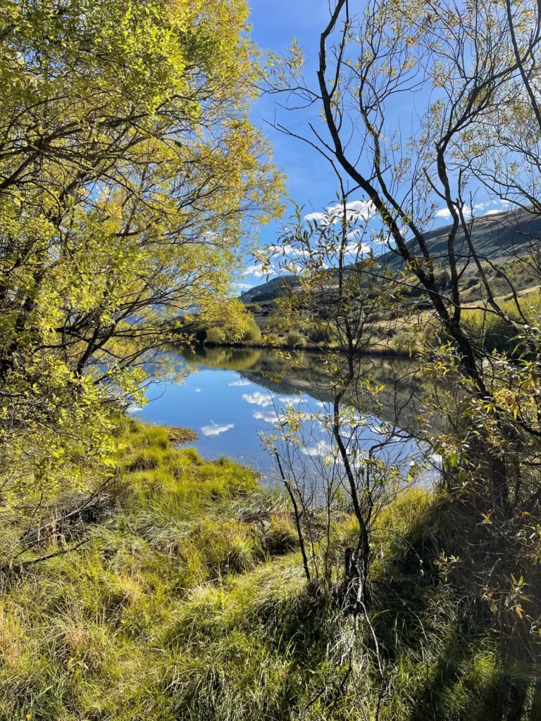 Lagoon, Glenorchy, New Zealand - March 2024