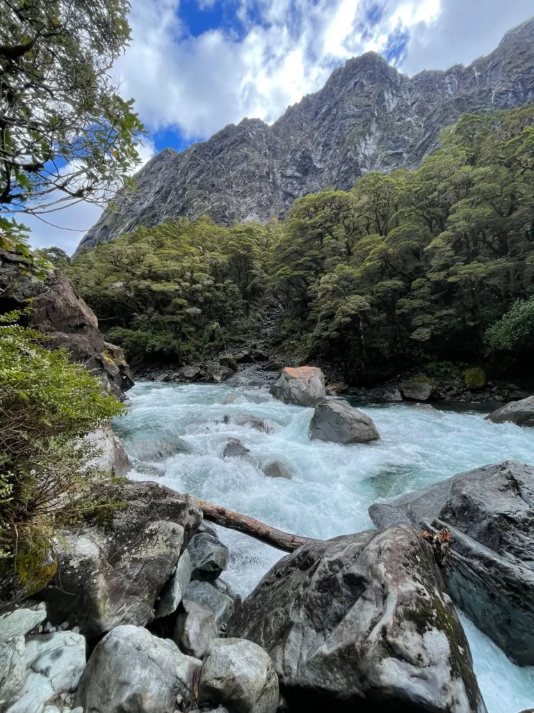 Falls Creek, Milford Sound, New Zealand - March 2024