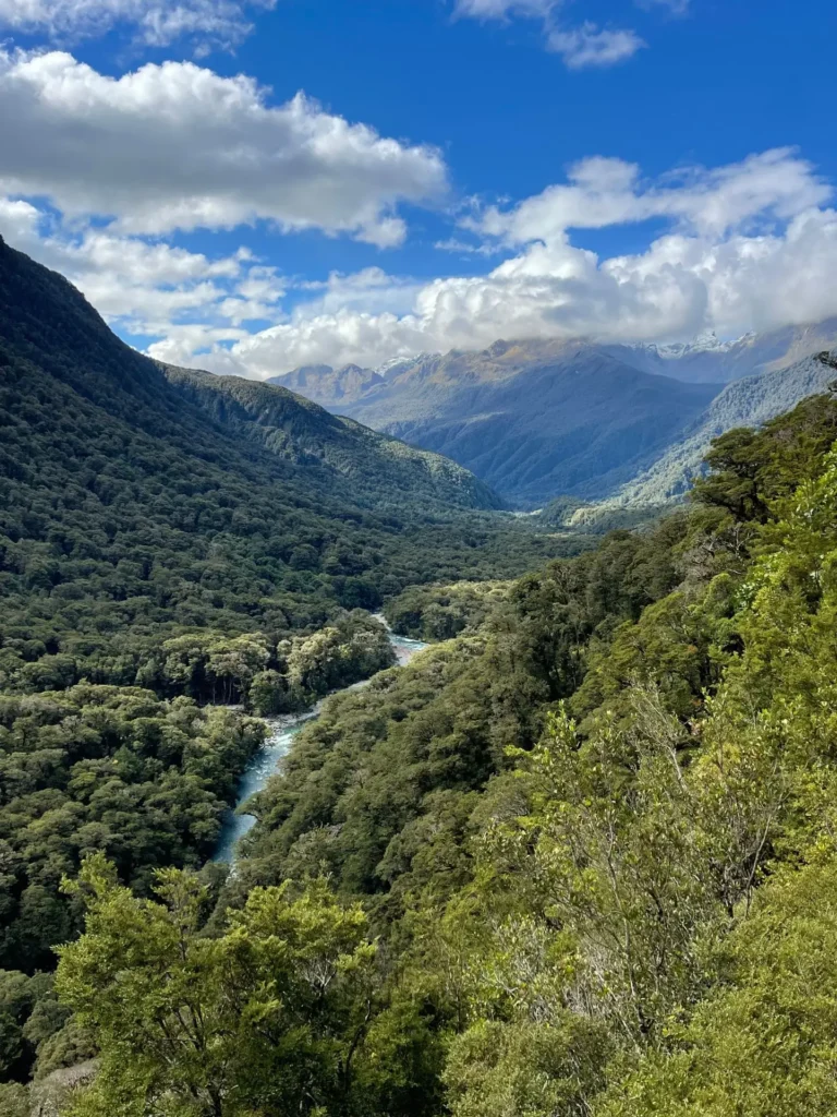 Pop's View, Milford Sound, New Zealand - March 2024