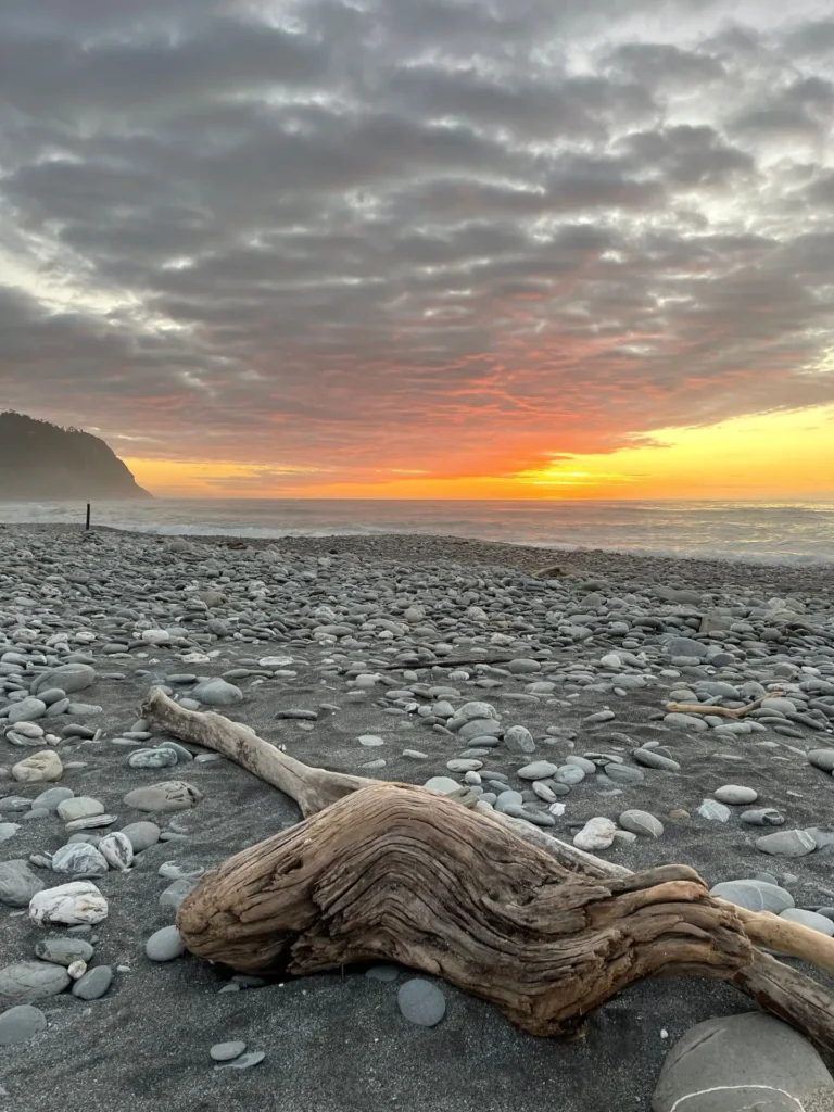 Beach, Okarito, New Zealand - March 2024