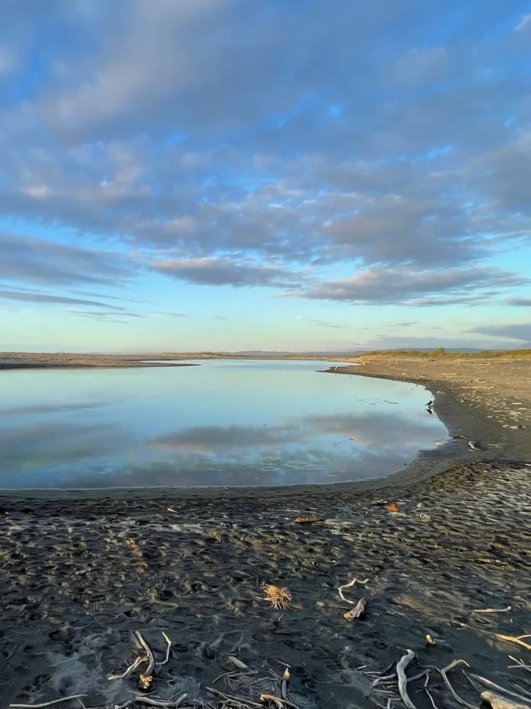 Beach, Okarito, New Zealand - March 2024
