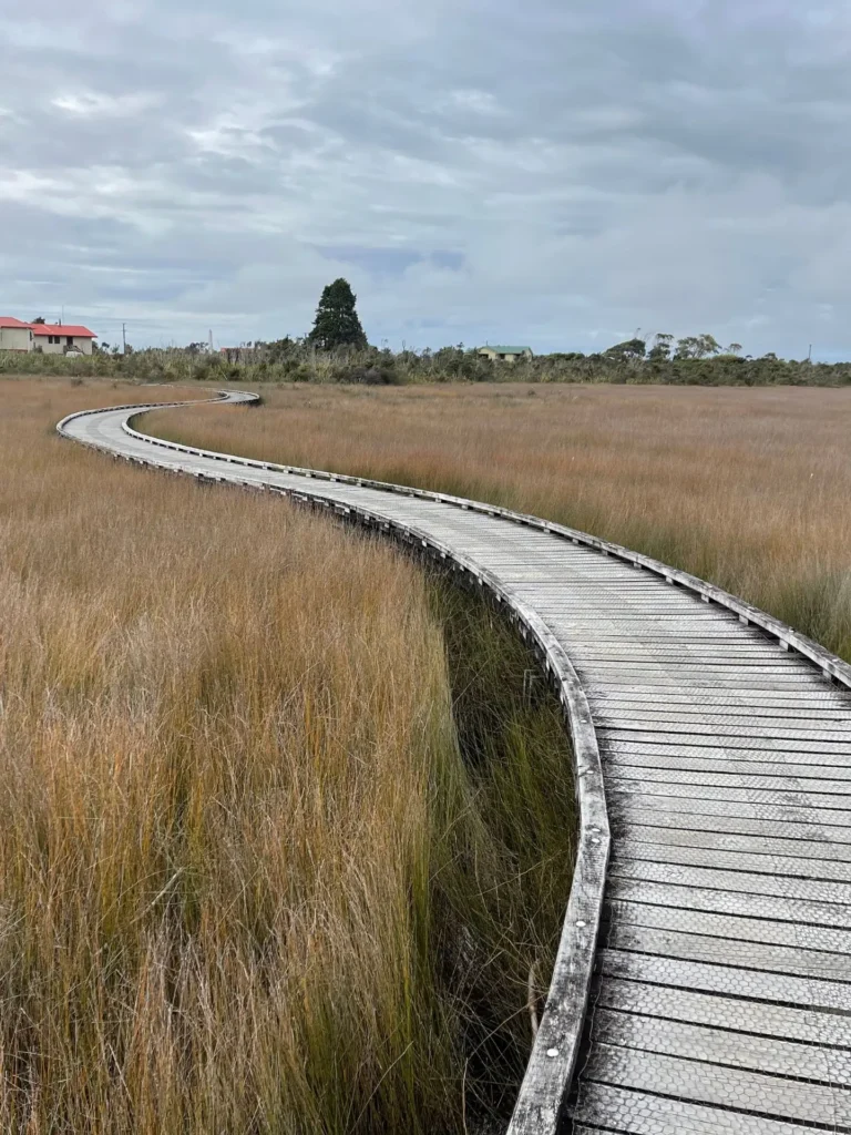 Trig Walk, Okarito, New Zealand - March 2024