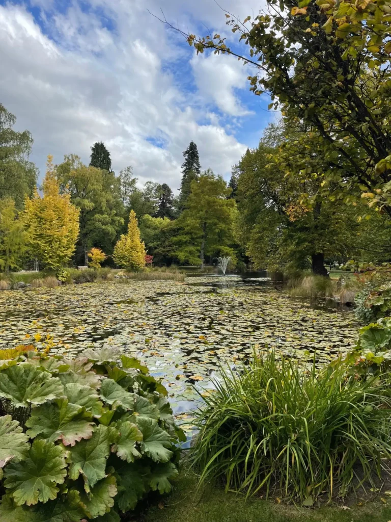 Gardens, Queenstown, New Zealand - March 2024