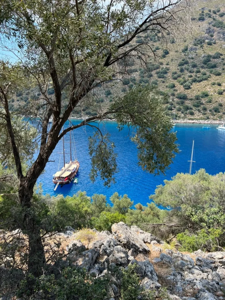 Coast, Datca, Turkey - June 2022