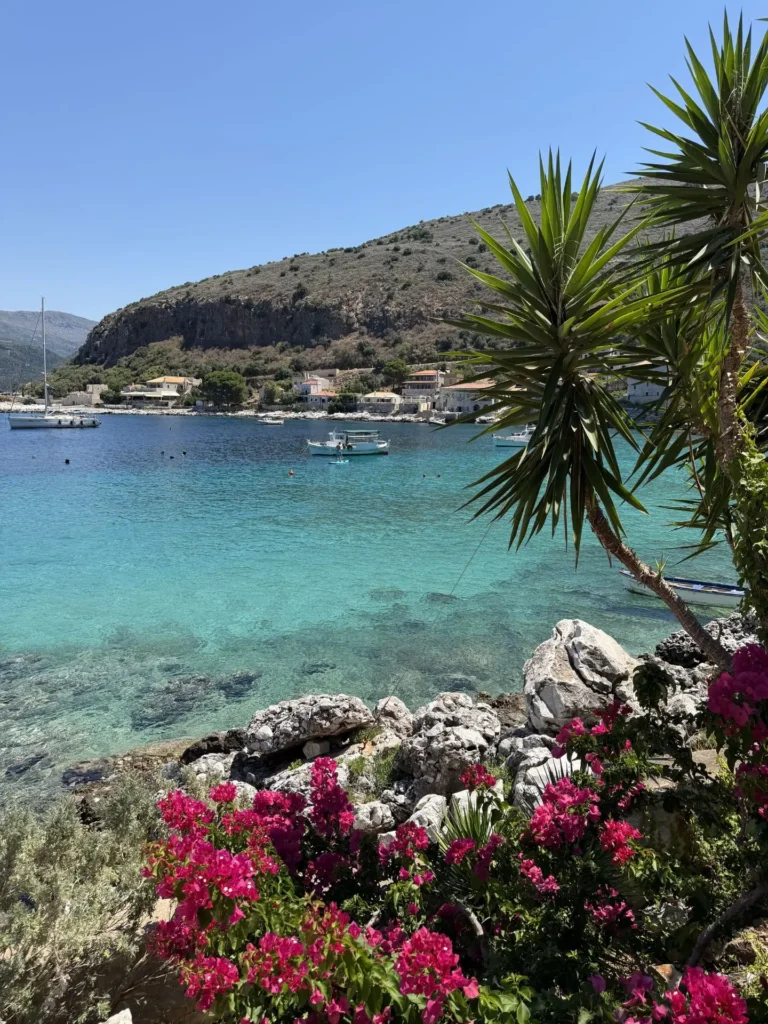 Flowers, Limeni, Greece - July 2026