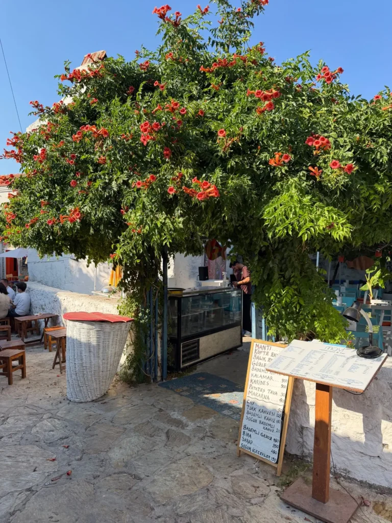 Cafe, Datca, Turkey - August 2026